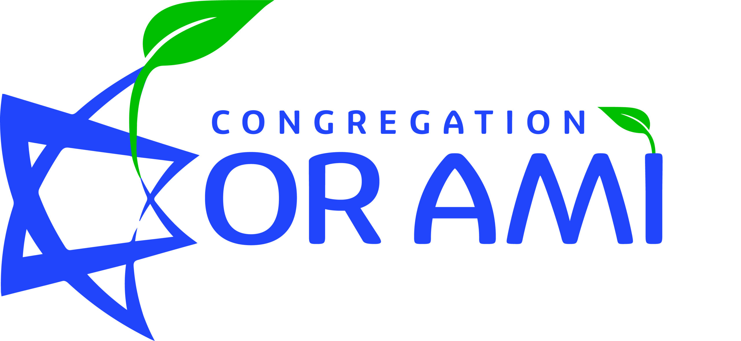 Congregation Or Ami